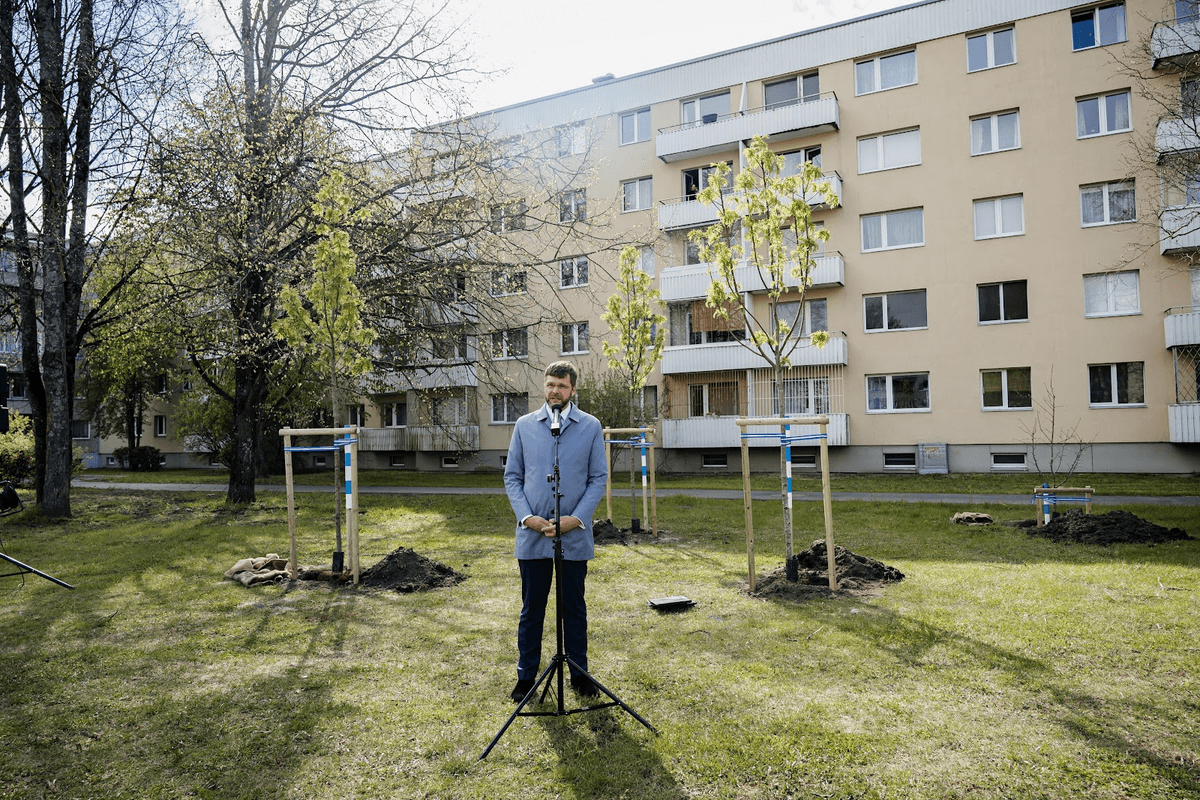 Puud linna, raha kuskile mujale: kelle taskusse läheb 2,4 miljonit?