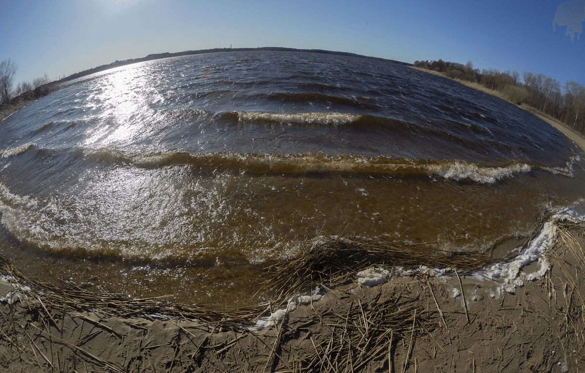 Mustamäe ja Haabersti linnaosavalitsused korraldasid rahvatriatloni ujumisetapi saastunud Harku järves