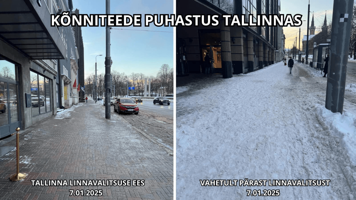 Tallinna lumekoristuses pole lubatud ümbersündi toimunud